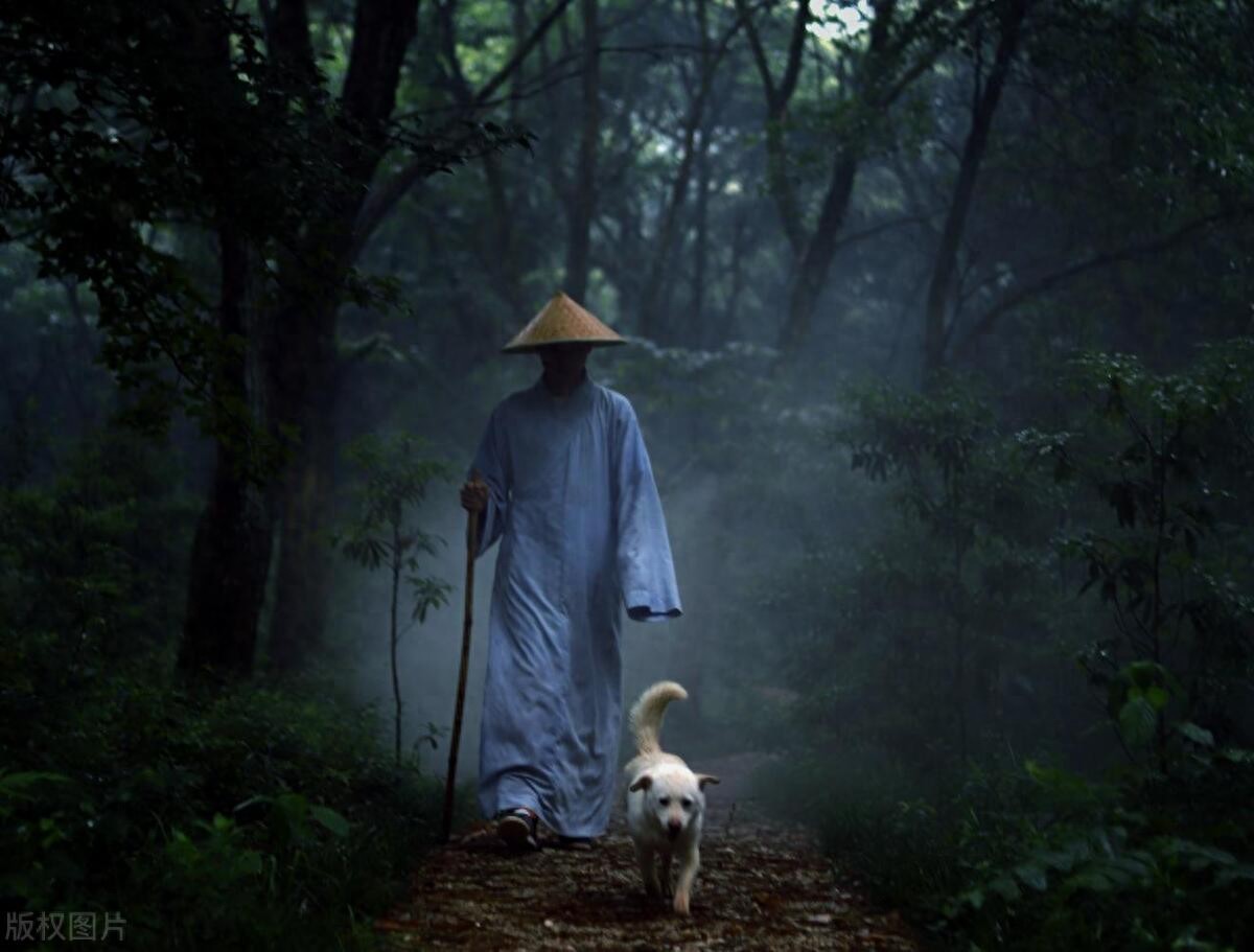 炒股是种修行，耐住寂寞方成正果？如何跨越心态两大坎