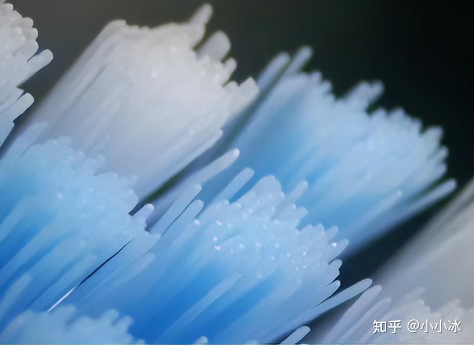 电动牙刷测评_电动自行车行业现状_电动牙刷推荐