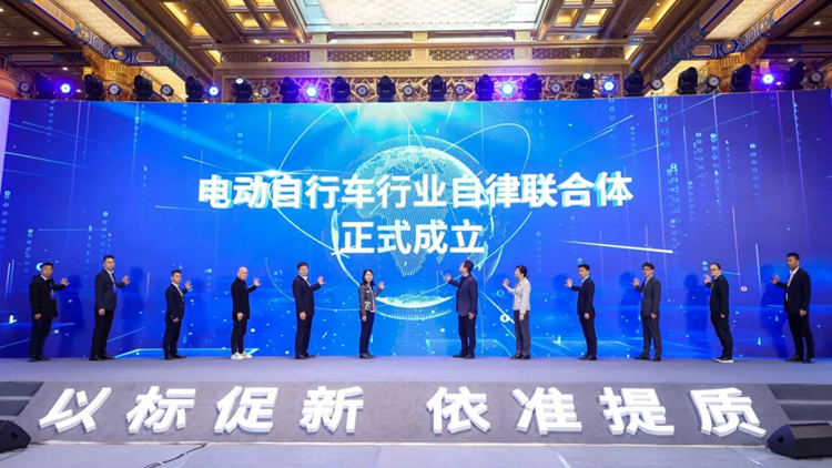 中国电动自行车市场集中度分析_电动自行车新国标 2025实施 生产企业准备