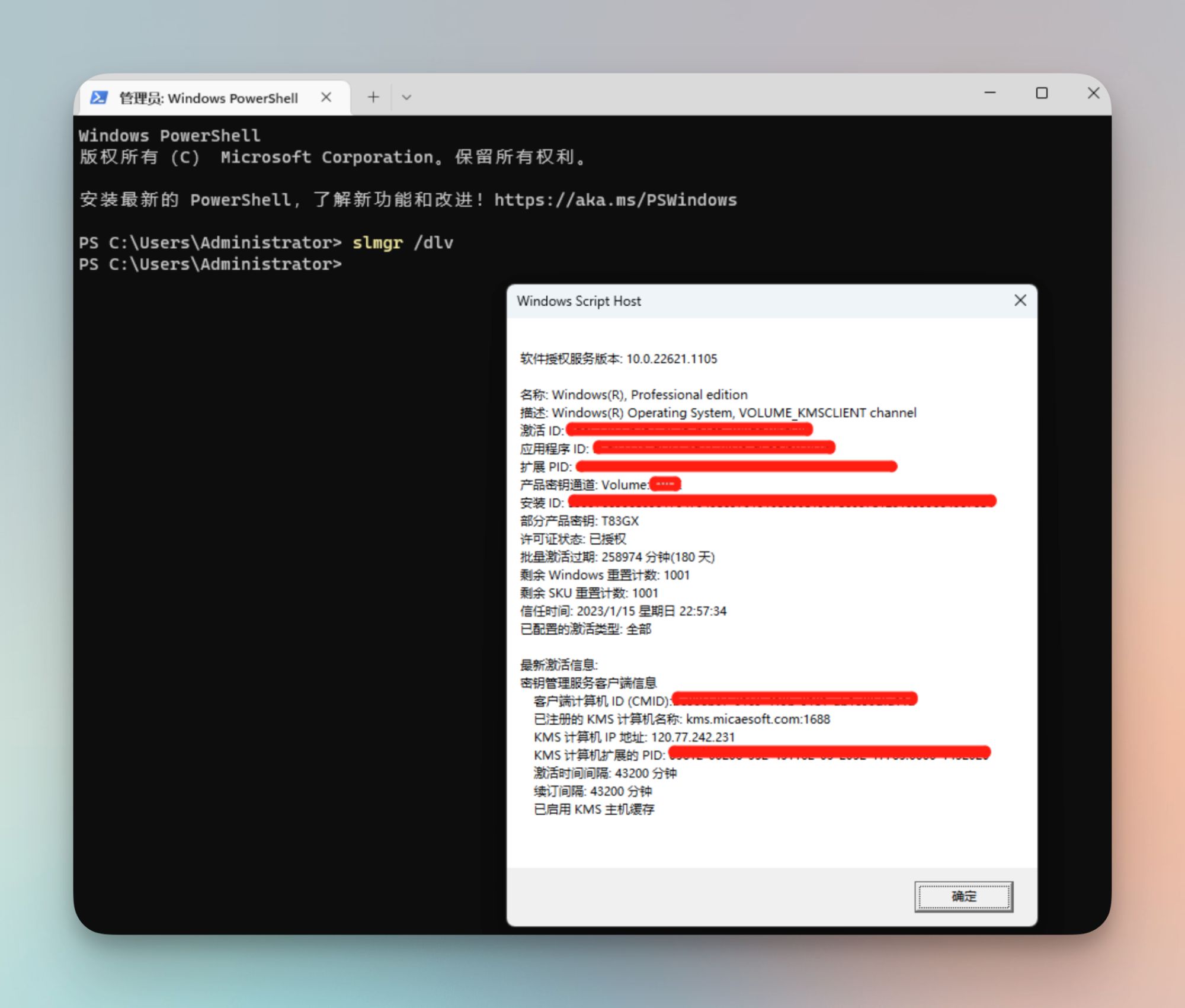 win8专业版激活软件_KMS激活常见问题解答_KMSpico激活工具