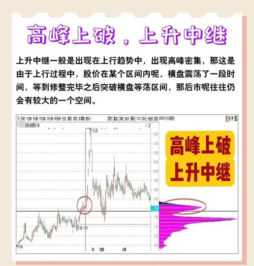 股票建仓图解_筹码分布高位密集_筹码分布低位密集