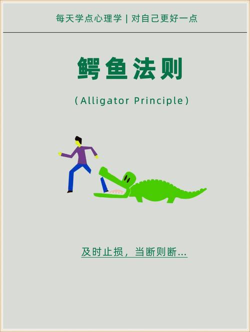 32种看涨k线组合_鳄鱼法则股市生存法则_鳄鱼法则止损交易法则