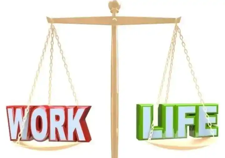 应届生求职券商_中信证券哪个好_券商高薪部门