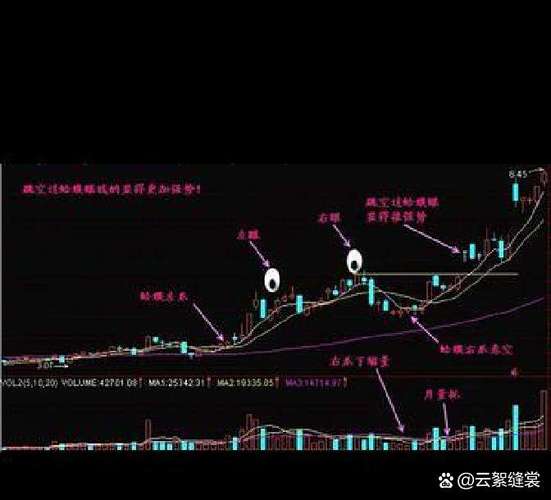 主力流出为何股票上涨_莲花控股股价走势预测_莲花控股股票分析