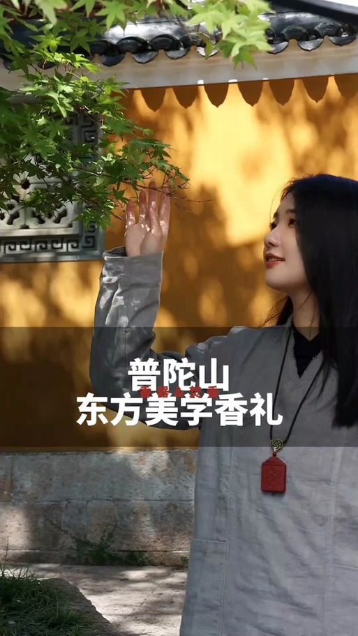 舟山市吉祥香业股权变更_普陀山ipo预披露更新_普陀山旅游IPO业务结构调整