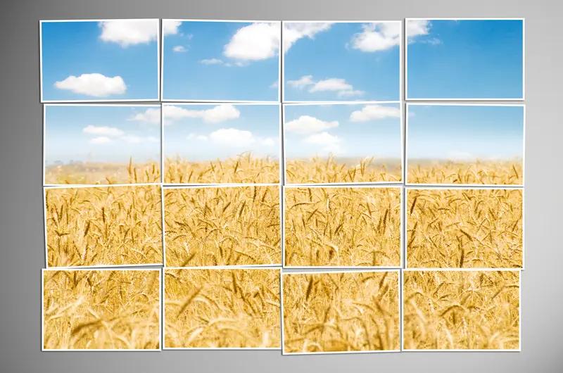 32平方米等于多少公顷_长方形面积公式计算_麦田总产量计算方法