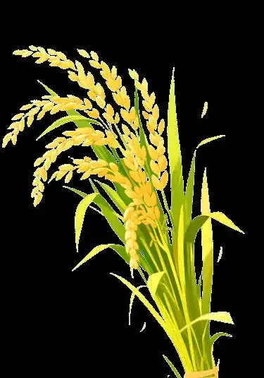 银行卡等级制度详解_银行卡新规定_三类银行卡功能区别