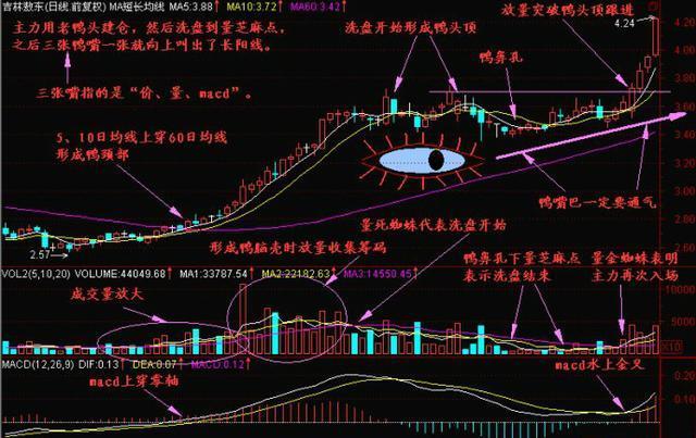 股票老鸭头形态图解（股票倒挂老鸭头形态图解）