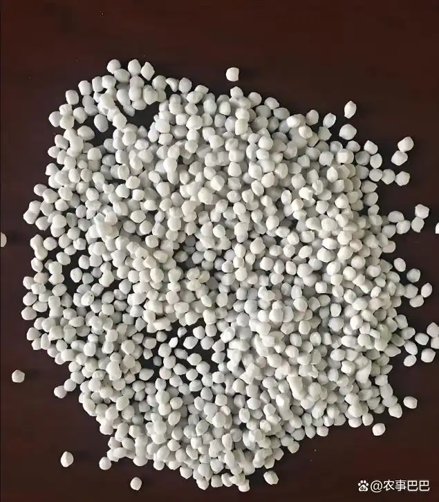 植物氮代谢_氮肥作用机制_铵态氮硝态氮区别