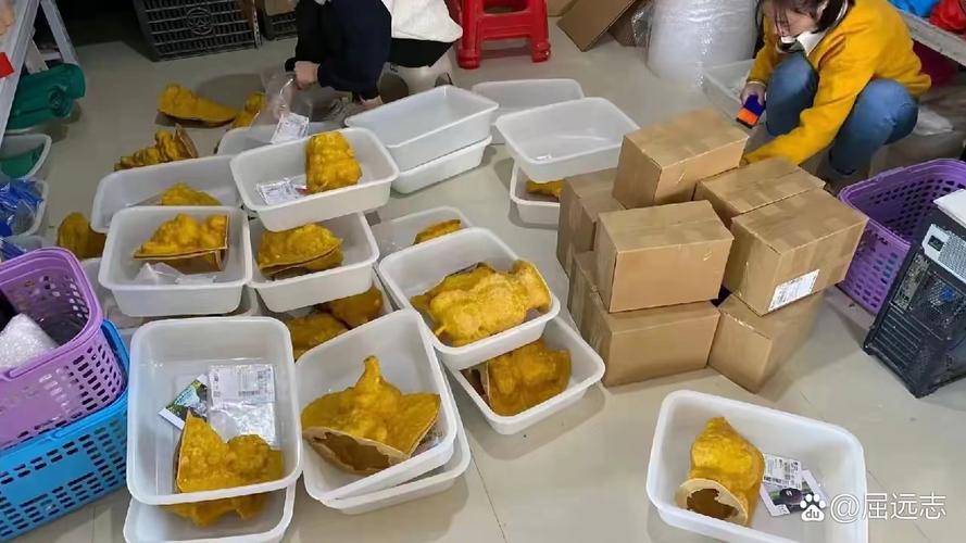 适合年轻人创业的小生意_小投资创业项目_5万元以下的投资项目