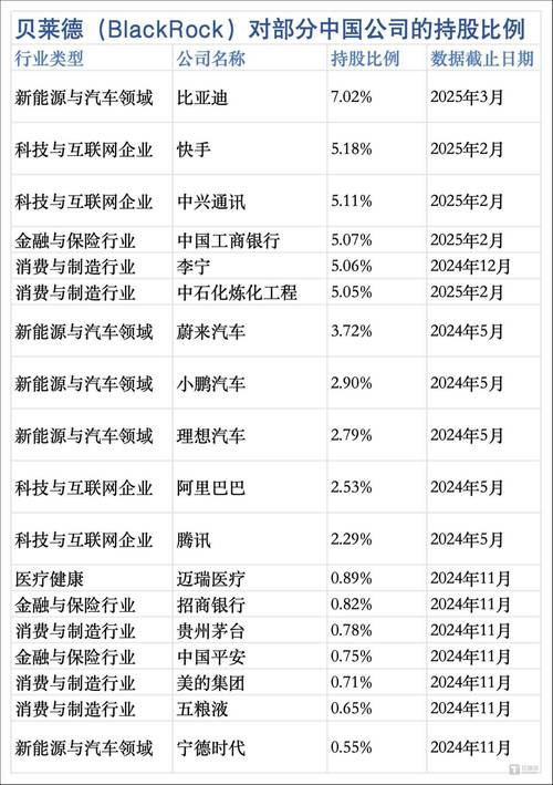 贝莱德中国策略_恒生指数年内涨幅分析_2025年上半年全球市场股市表现