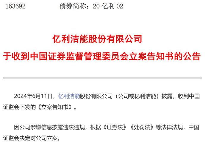 亿利洁能财务造假关联担保处罚金额_亿利洁能内蒙古证监局行政处罚_亿利能源集团官网