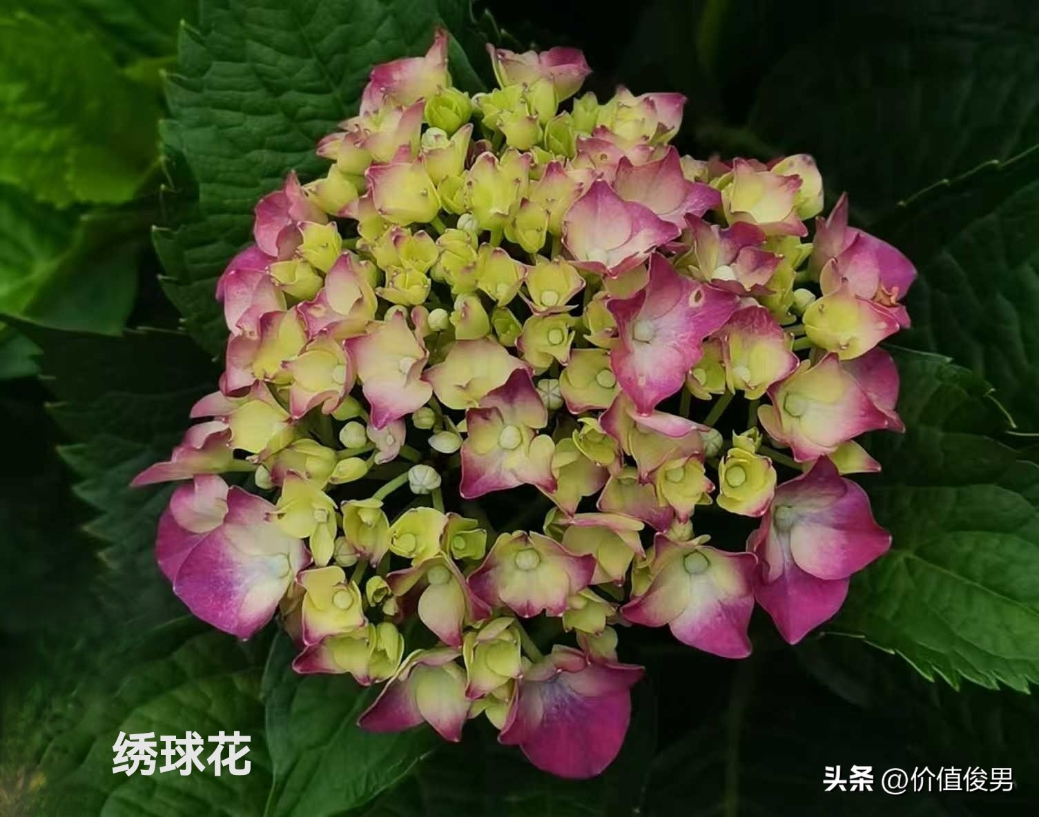 银行股2025年一季度报半年报分析_优先股 兴业银行_银行赎回优先股趋势