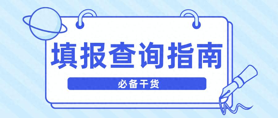股票代码查询网：快速查个人事项报告实用工具