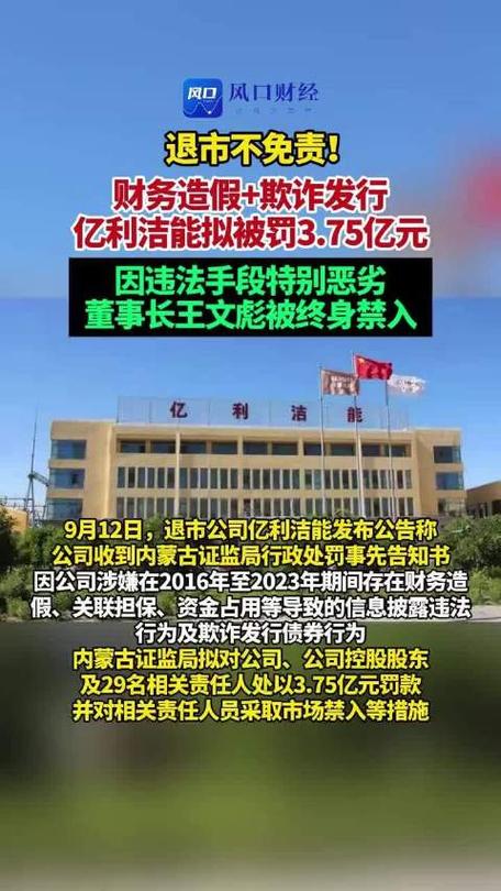 亿利能源集团官网_亿利洁能关联担保资金占用处罚_亿利洁能财务造假处罚